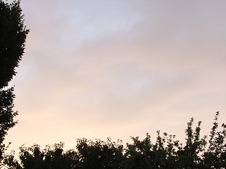 Cliquez sur l'image pour la voir en taille relle

Nom : 001.JPG
Taille : 3072x2304
Poids : 1,57 Mo
ID : 137466