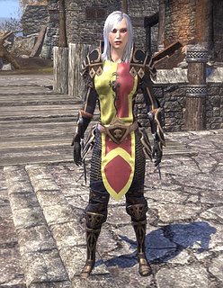 caran tabard.jpg
