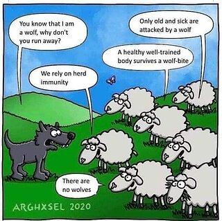 wolf_herd_immunity.jpg