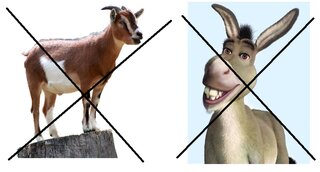 Bulletin 2022.png