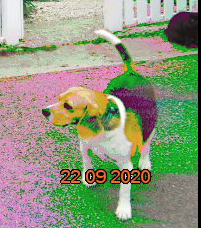 104014-1610995584-5336.png 104014-1610995584-5336.png