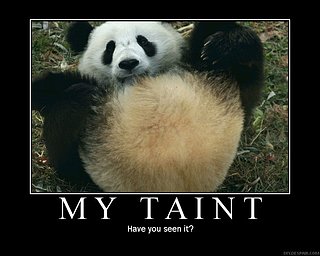 Cliquez sur l'image pour la voir en taille relle

Nom : taint.jpg
Taille : 750x600
Poids : 80,6 Ko
ID : 46976