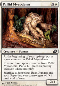 Pallid_Mycoderm.jpg
