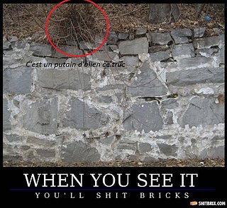 Cliquez sur l'image pour la voir en taille relle

Nom : stone-wall-78051.jpg
Taille : 800x734
Poids : 198,0 Ko
ID : 94517