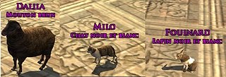PETS.jpg PETS.jpg