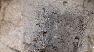 20211101_180332.jpg
