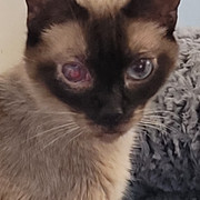 20240702-192500.jpg 20240702-192500.jpg