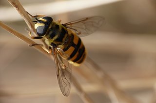 P1070458rs.jpg P1070458rs.jpg