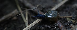Cliquez sur l'image pour la voir en taille relle

Nom : scarg.jpg
Taille : 2886x1133
Poids : 394,5 Ko
ID : 172927