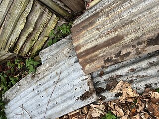 Cliquez sur l'image pour la voir en taille r�elle

Nom : IMG_4765.jpg
Taille : 4032x3024
Poids : 3,02 Mo
ID : 743927