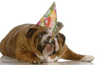 Cliquez sur l'image pour la voir en taille relle

Nom : 5949885-chien-d-anniversaire-bulldog-anglais-porter-le-chapeau-et-souffle-sur-la-corne.jpg
Taille : 400x269
Poids : 14,7 Ko
ID : 112337