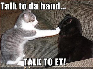 Cliquez sur l'image pour la voir en taille relle

Nom : funny-pictures-cat-talk-to-the-hand.jpg
Taille : 500x375
Poids : 41,7 Ko
ID : 45537