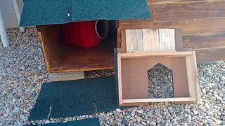 IMG_20151011_092611399.jpg