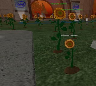 Cliquez sur l'image pour la voir en taille relle

Nom : tournesol.jpg
Taille : 796x711
Poids : 71,8 Ko
ID : 39937