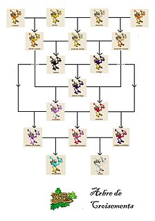 arbre5.jpg arbre5.jpg