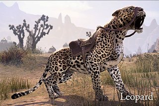 gp_crwn_mounts_leopard_1x1.jpg gp_crwn_mounts_leopard_1x1.jpg