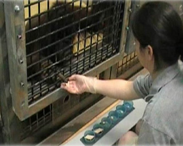 605f6474894bfab90987fd1a027f8.jpg 605f6474894bfab90987fd1a027f8.jpg