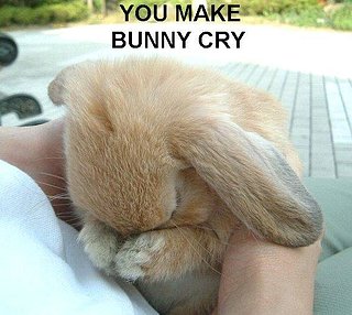 Cliquez sur l'image pour la voir en taille relle

Nom : you-make-bunny-cry.jpg
Taille : 579x518
Poids : 52,8 Ko
ID : 56747