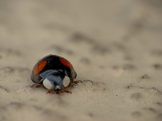 P1030575.JPG P1030575.JPG