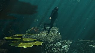 Cliquez sur l'image pour la voir en taille relle

Nom : actual_1364387711[1].jpg
Taille : 640x360
Poids : 90,8 Ko
ID : 189357