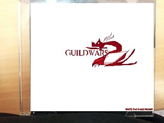 Cliquez sur l'image pour la voir en taille relle

Nom : gw2.jpg
Taille : 711x533
Poids : 36,0 Ko
ID : 212167