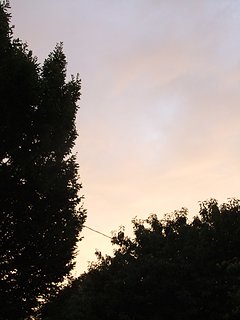 Cliquez sur l'image pour la voir en taille relle

Nom : 002.JPG
Taille : 2304x3072
Poids : 1,49 Mo
ID : 137467