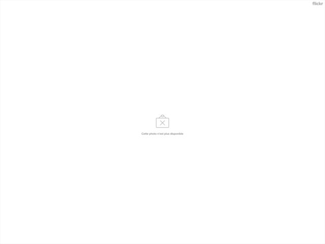 21514587275_6b28989699_h.png
