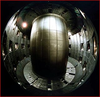 tor bis.JPG