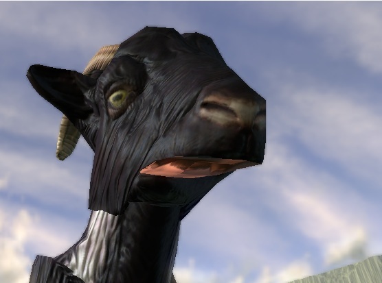 goat2_zpsbteo6ats.jpg