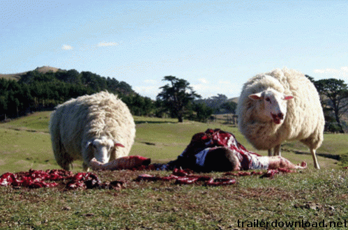 1521470387-moutons.png 1521470387-moutons.png