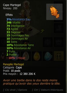 dofus-2019-04-27_19-01-17-Arbuste-De-Sixaeh (2).png
