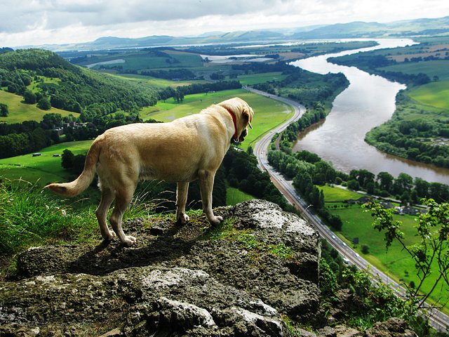 6012453651_07bfd951e8_b.jpg 6012453651_07bfd951e8_b.jpg