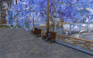 Cliquez sur l'image pour la voir en taille relle

Nom : Aion0098.jpg
Taille : 1680x1050
Poids : 1,31 Mo
ID : 71897
