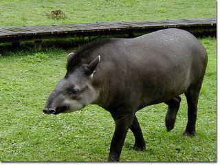 Cliquez sur l'image pour la voir en taille relle

Nom : machin.jpg
Taille : 610x458
Poids : 97,6 Ko
ID : 17108
