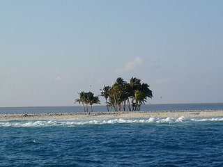 Cliquez sur l'image pour la voir en taille relle

Nom : ouestcequedonc.jpg
Taille : 450x338
Poids : 44,7 Ko
ID : 81308