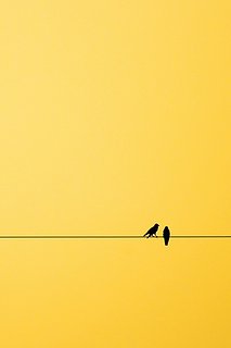 Cliquez sur l'image pour la voir en taille réelle

Nom : 275dcebb53ddfd824c2ee4cda3d77e2b.jpg
Taille : 500x750
Poids : 55,1 Ko
ID : 186308