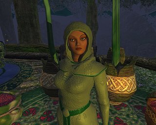 Cliquez sur l'image pour la voir en taille réelle

Nom : EQ2_000966.jpg
Taille : 1280x1024
Poids : 136,8 Ko
ID : 4608
