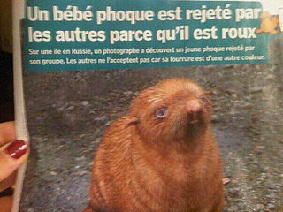 Cliquez sur l'image pour la voir en taille relle

Nom : phoque roux.jpg
Taille : 604x453
Poids : 47,5 Ko
ID : 146608