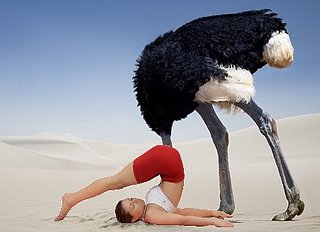 Cliquez sur l'image pour la voir en taille relle

Nom : autruche.jpg
Taille : 468x339
Poids : 79,6 Ko
ID : 182808