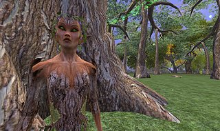 ScreenShot_00200.JPG ScreenShot_00200.JPG