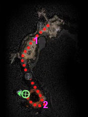 coop11-1.jpg coop11-1.jpg