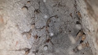 20211101_180244.jpg