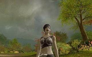 Cliquez sur l'image pour la voir en taille relle

Nom : Aion0015.jpg
Taille : 1680x1050
Poids : 1,11 Mo
ID : 71328