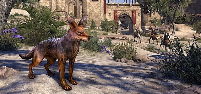 a1bb61f8c1d3a0fe25bd71db1bea7ddf.jpg a1bb61f8c1d3a0fe25bd71db1bea7ddf.jpg