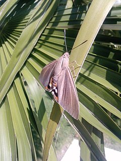 41030_1589506179253_4868099_n.jpg 41030_1589506179253_4868099_n.jpg