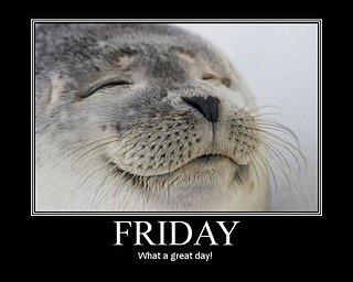 Cliquez sur l'image pour la voir en taille relle

Nom : friday-friday-weekday-happy-smile-demotivational-poster-1235242947.jpg
Taille : 640x512
Poids : 33,0 Ko
ID : 81728