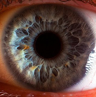 Cliquez sur l'image pour la voir en taille relle

Nom : anatomy-eye-macro-Favim.com-174037.jpg
Taille : 600x607
Poids : 81,0 Ko
ID : 192728