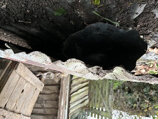 Cliquez sur l'image pour la voir en taille r�elle

Nom : IMG_4766.jpg
Taille : 4032x3024
Poids : 2,55 Mo
ID : 743928