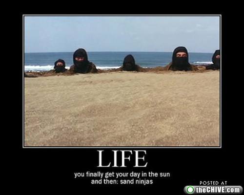 monday-motivation-33-71.jpg monday-motivation-33-71.jpg