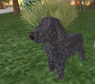 Cliquez sur l'image pour la voir en taille relle

Nom : dog.jpg
Taille : 931x827
Poids : 129,9 Ko
ID : 29538